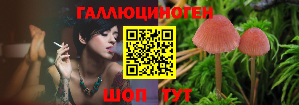 Сызрань  Галлюциногенные грибы мухоморы  Вход с VPN 